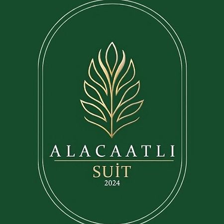 Alacaatli Suit アンカラ エクステリア 写真
