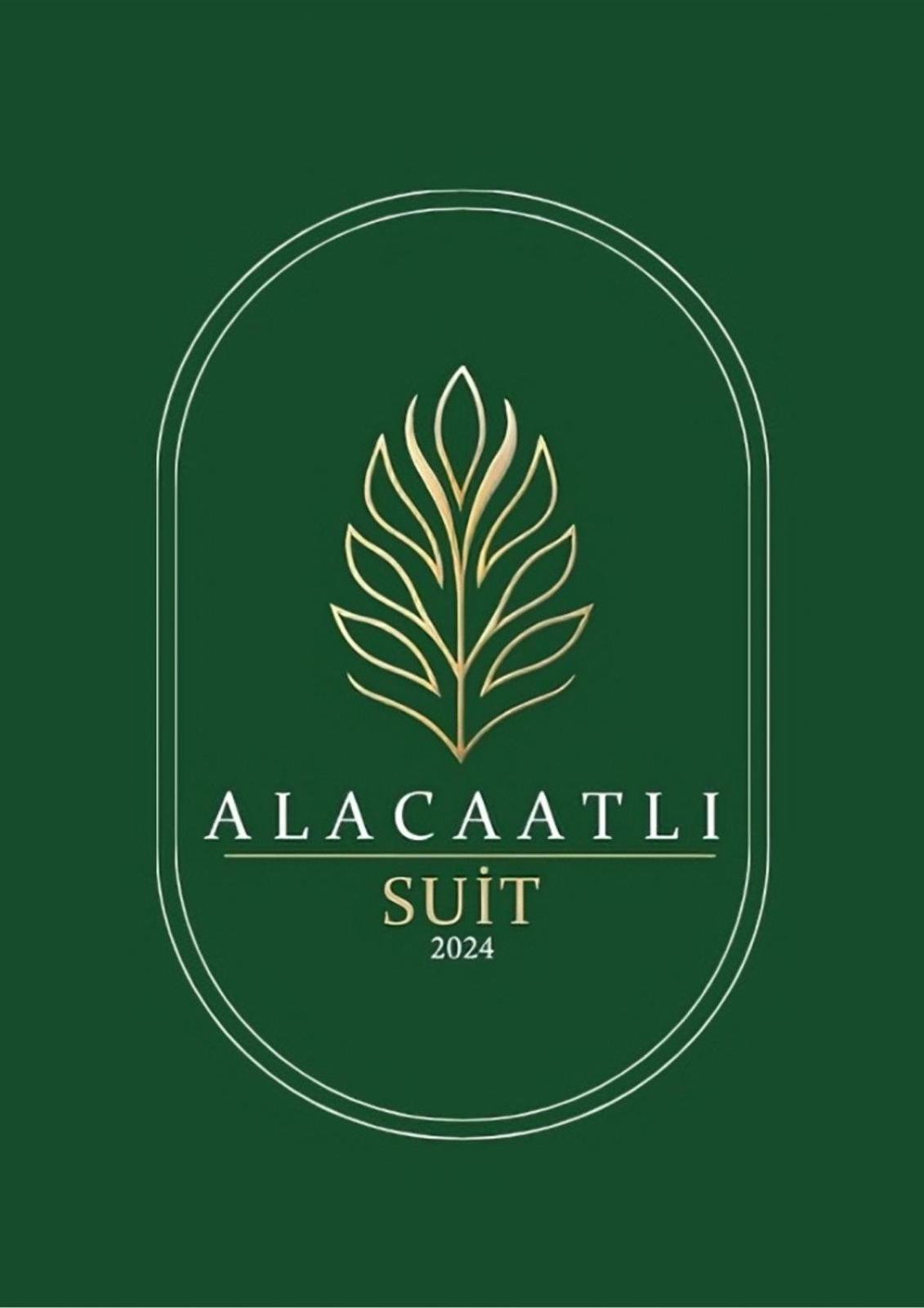 Alacaatli Suit アンカラ エクステリア 写真
